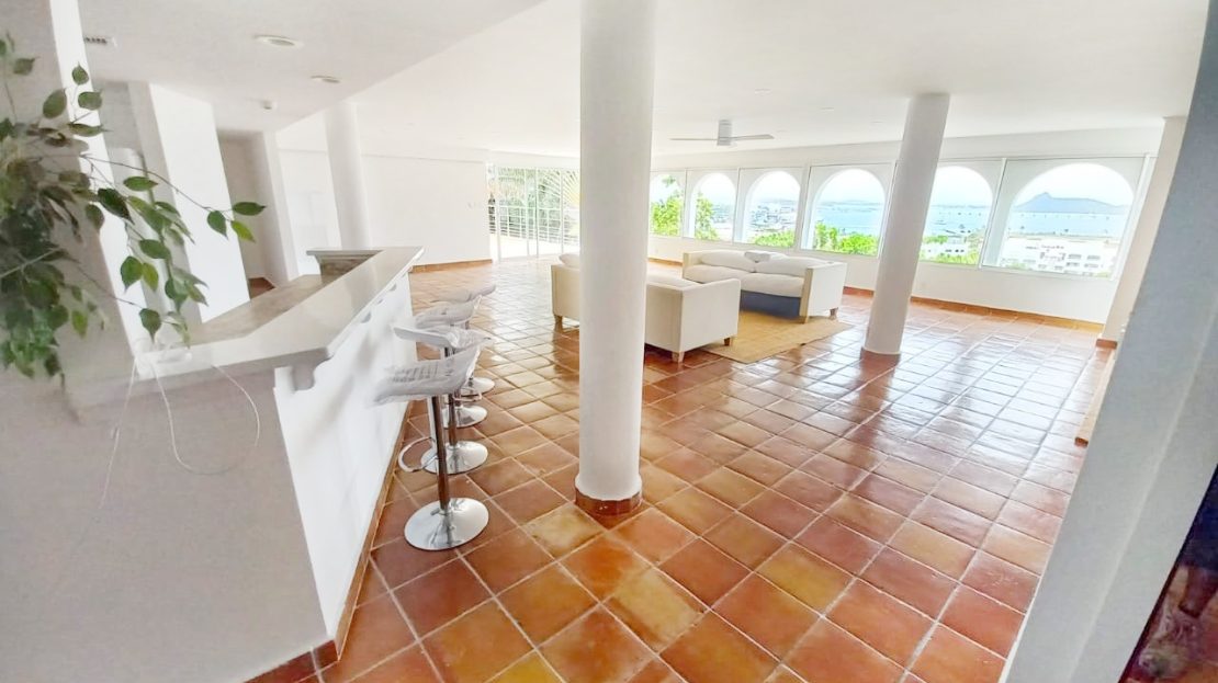 video image